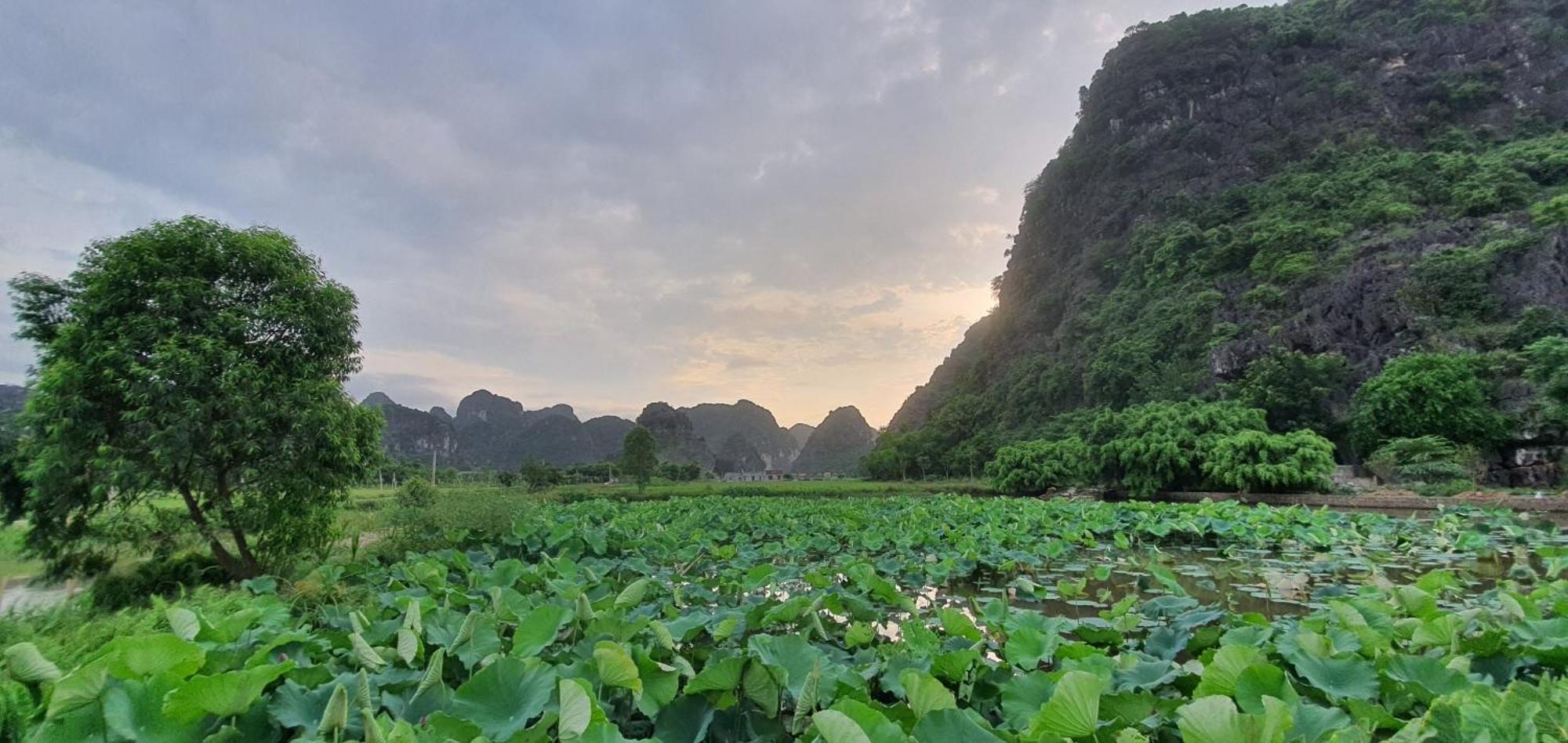 Trang An Rice Field Homestay Ninh Bình Ngoại thất bức ảnh