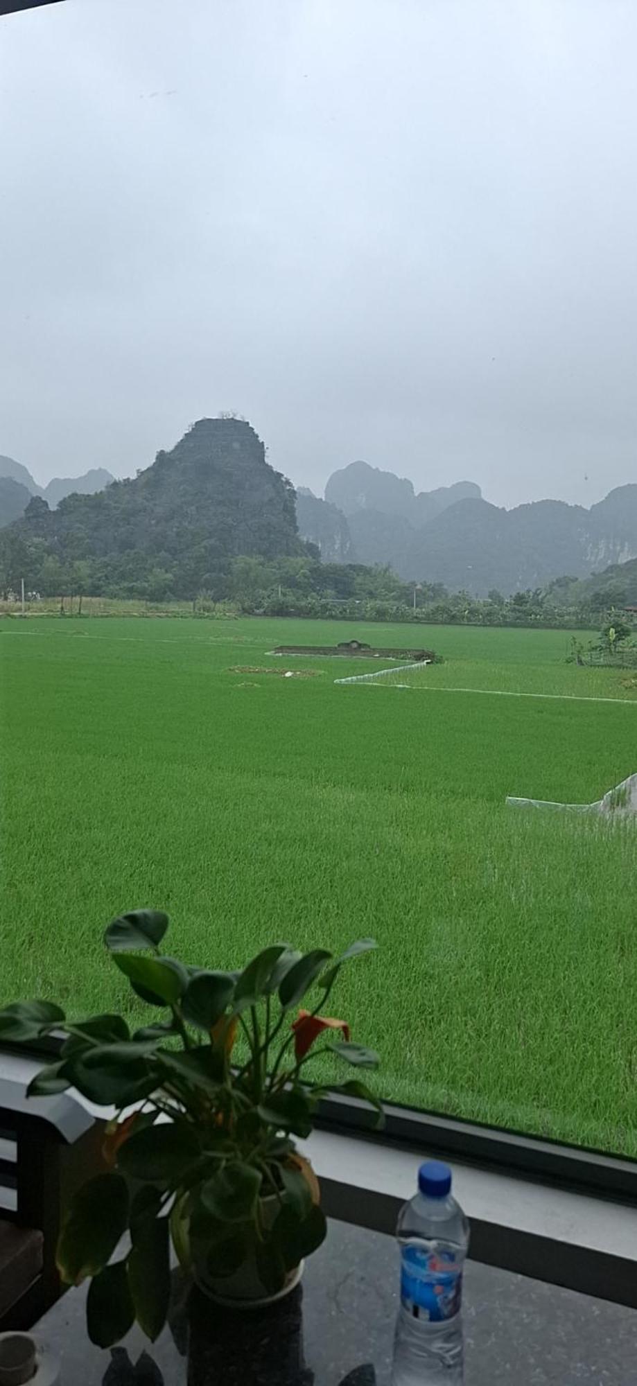 Trang An Rice Field Homestay Ninh Bình Ngoại thất bức ảnh